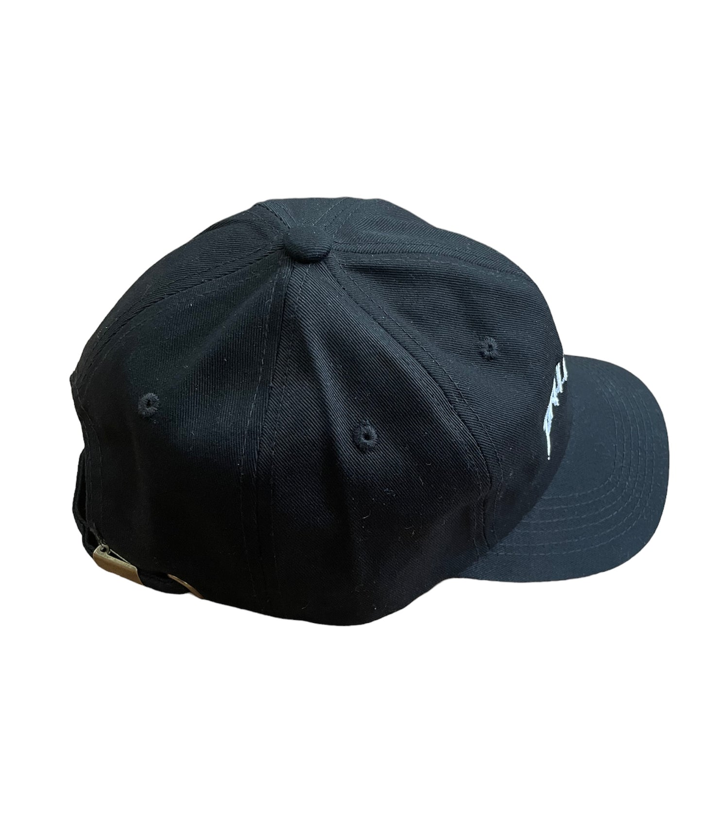 BLK BRLLNT SPECIES Dad Hat