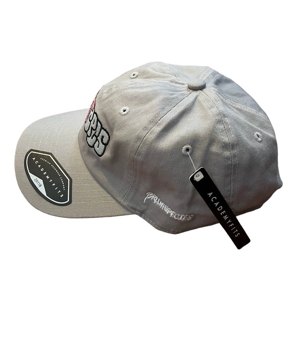 LightGray BS Dad Hat